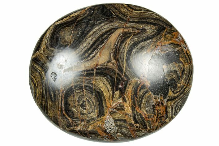 Polished Stromatolite (Greysonia) Pebble - Bolivia #302526